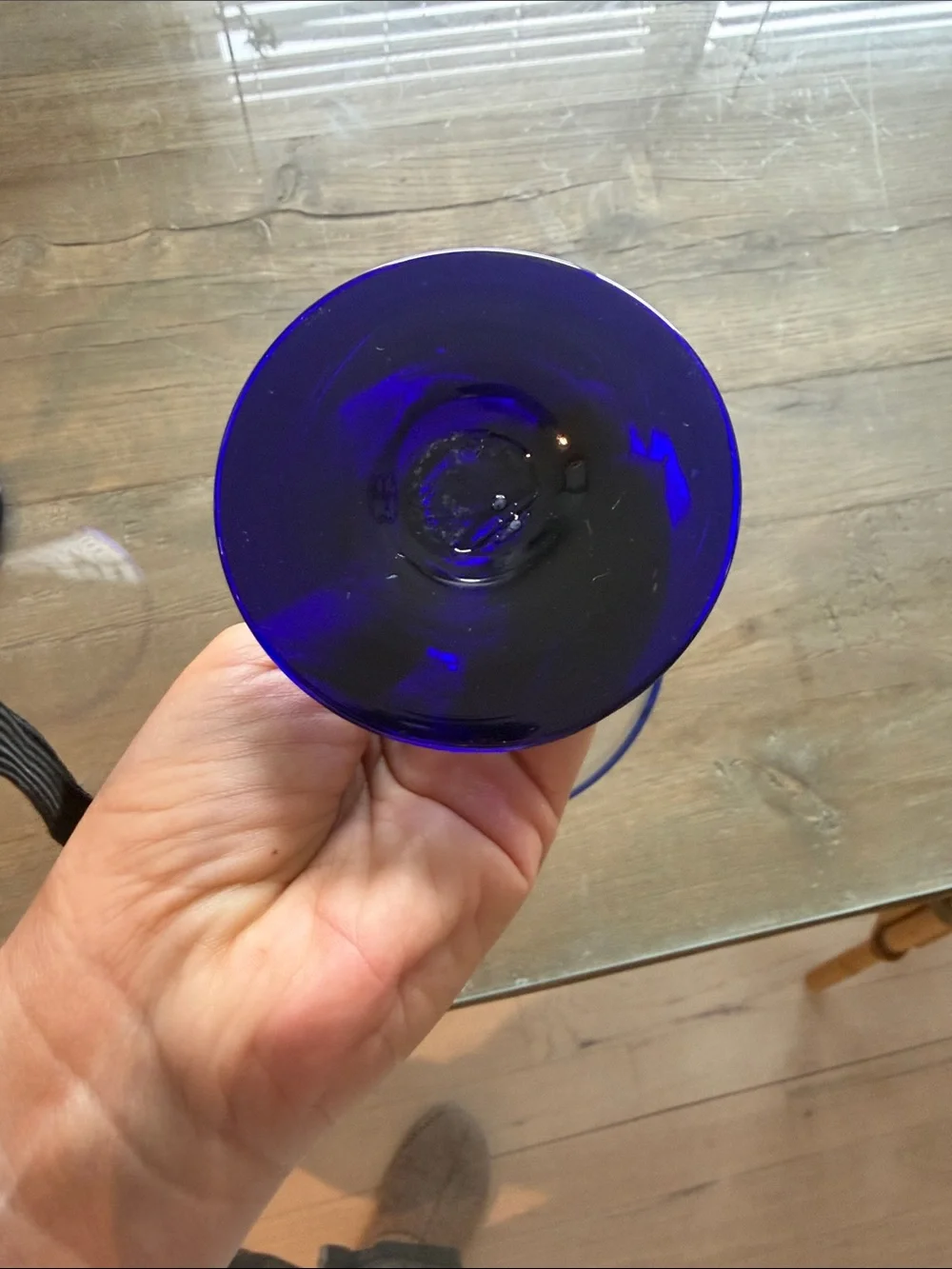 Pier 1 Blue-Rimmed Martini Glasses (Pair)